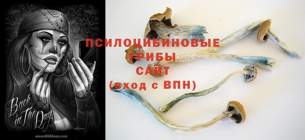 винт Нея