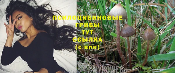 винт Нея