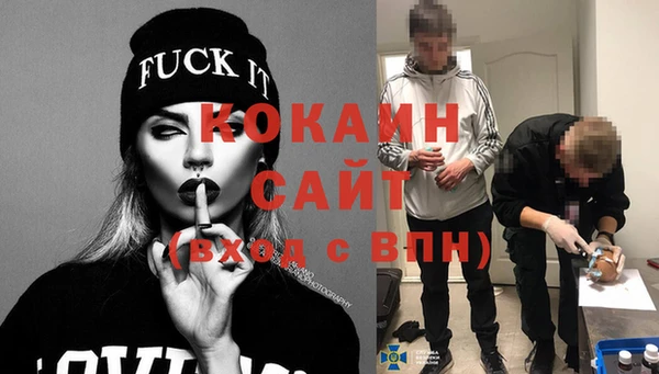 сатива Нефтекумск